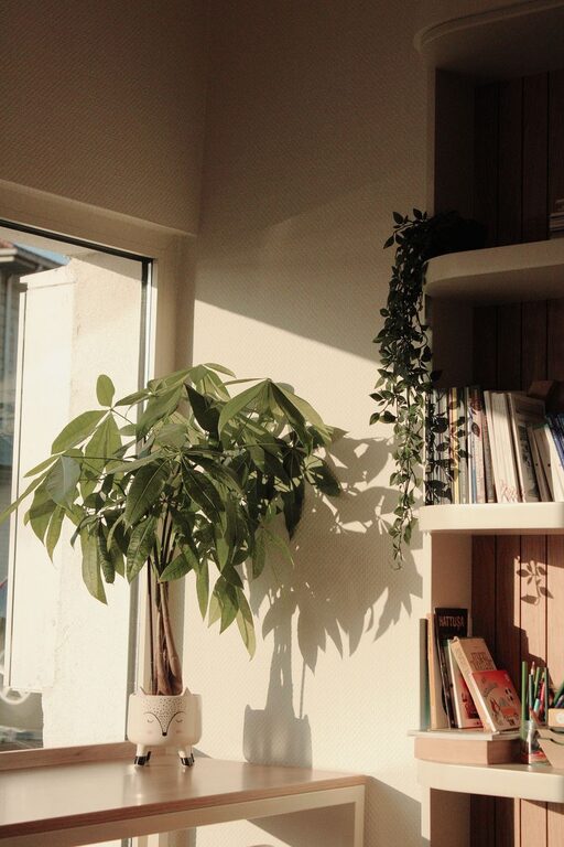 Tips for Creating a Cozy and Inviting Reading Nook at Home