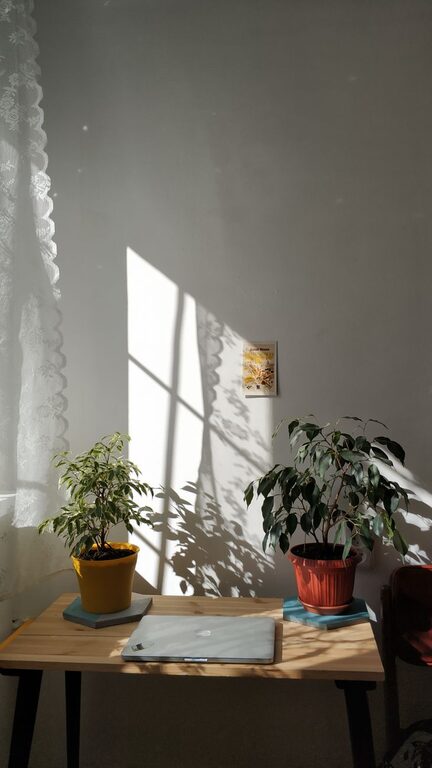 Tips for Creating a Cozy and Functional Home Office Space